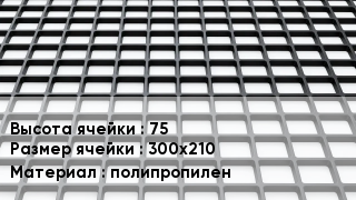 Георешетка 75 Ячейка: 300х210 полипропилен